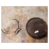 Set of Antlers & Wooden Round Small Table Top