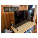 Vizio 50" TV