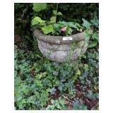 Concrete Planter -*