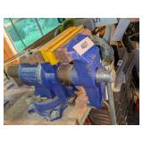 Wilton Vise - 5'