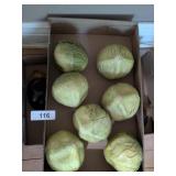 Artificial Cabbage & Artificial Eggplant