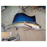 Sailfish in Rougher Condition -*