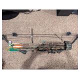 Bow & Arrows
