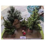 Miniature Christmas Trees