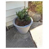 (3) Plastic Flower Pots