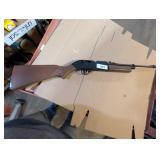 Pumpmaster 760 Pellet & BB Gun