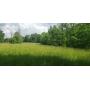 27 Acres Wooded Acres on Hwy 450, Shoals, IN