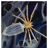 28.5 X 12.5MM AQUA PERIDOT STERLING SPIDER PENDANT