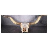 GENUINE LONGHORN STEER SKULL 5 FEET WIDE HORNS