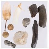 COLLECTIBLE FOSSILS, CARVINGS & STONES