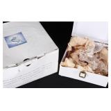 SWAROVSKI PEGASUS 1998 FABULOUS CREATURES W/ BOX