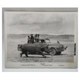 HATARI Picture Howard Hawks 8x10 Paramount Relea