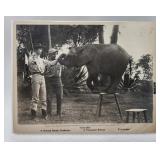 HATARI Picture Howard Hawks 8x10 Paramount Relea