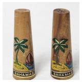 Salt & Pepper Shaker Set