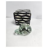 Ngwenya Glass Turtle w/box