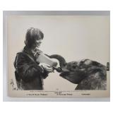 HATARI Picture Howard Hawks 8x10 Paramount Relea