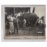 HATARI Picture Howard Hawks 8x10 Paramount Relea