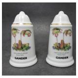 Salt & Pepper Shaker Set