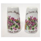 Salt & Pepper Shaker Set
