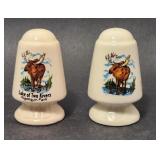 Salt & Pepper Shaker Set