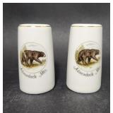 Salt & Pepper Shaker Set