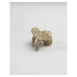 Wolf Molar Tooth