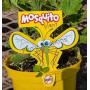 JUNE 1ST ONLINE ONLY PLANT AUCTION