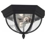 Wynfield 2 Light 12.75 Inch Black Outdoor Ceiling