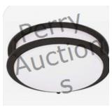 Envirolite Flush Mount Lighting