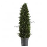 Cypress Cone Topiary