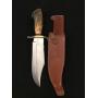 Colt Stag Handle CT 843 Knife
