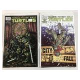 Teenage Mutant Ninja Turtles Comic Book Collection