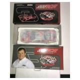 Dale Earnhardt Peter Max Museum Series