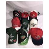 Dale Earnhardt Jr Hat Collection