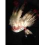Early American Seneca Indian Headdress