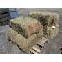 NY's Favorite Consignment Auction 2022 - ATV's, Vehicles, Heavy Equipment