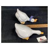 Ducks