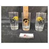 Iowa Hawkeye glasses