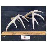 Antlers