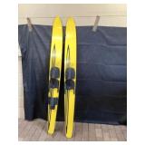 CL 600 lake region skis