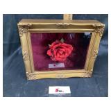 Encased Rose