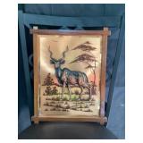 Copper African Kudo picture
