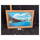 Lighted picture needs TLC doesnï¿½t light up