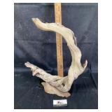 Driftwood