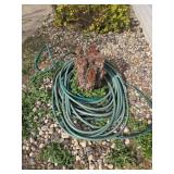 Garden Hose