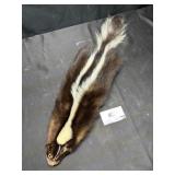 Tanned skunk fur