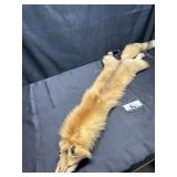 Tanned fox fur