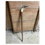 Horn Cane