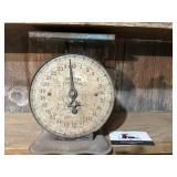 Teal American Family Kitchen Scale