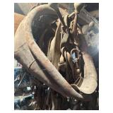 Horse Tack and Misc